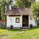 Paradise * Sarajevo