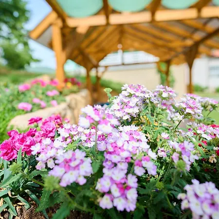 Villa Paradise Sarajevo