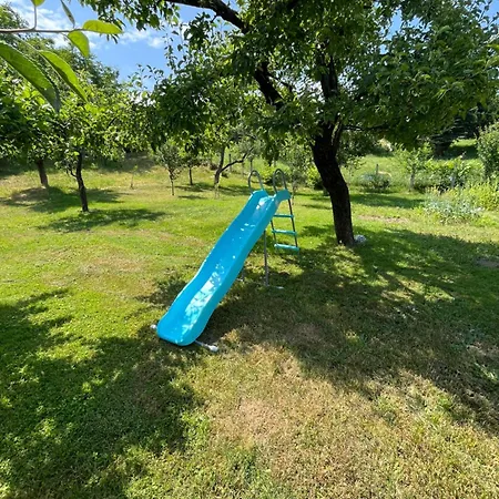Paradise * Saraievo