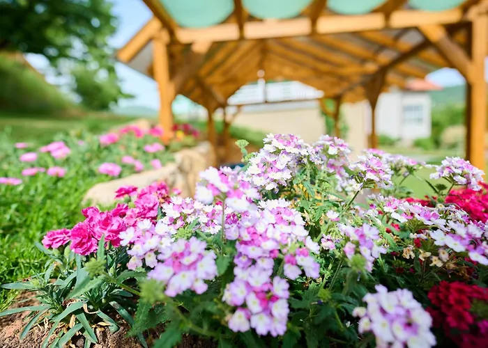 Vila Paradise Sarajevo